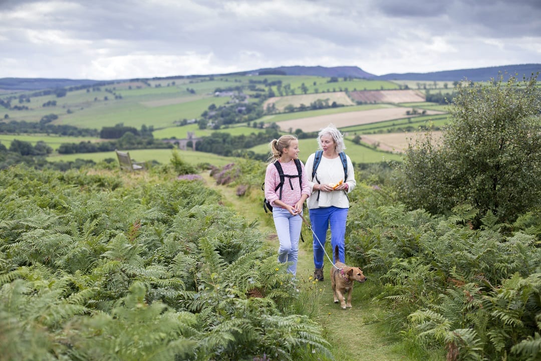 walking in nature